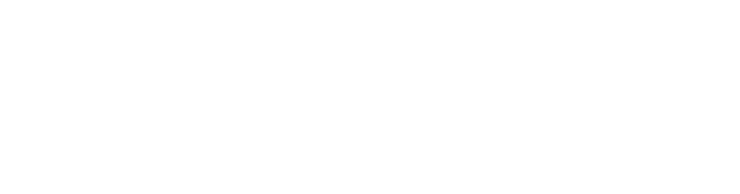 Storage Wall Systems Logo